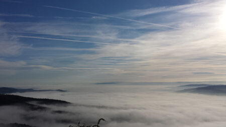 nebbia